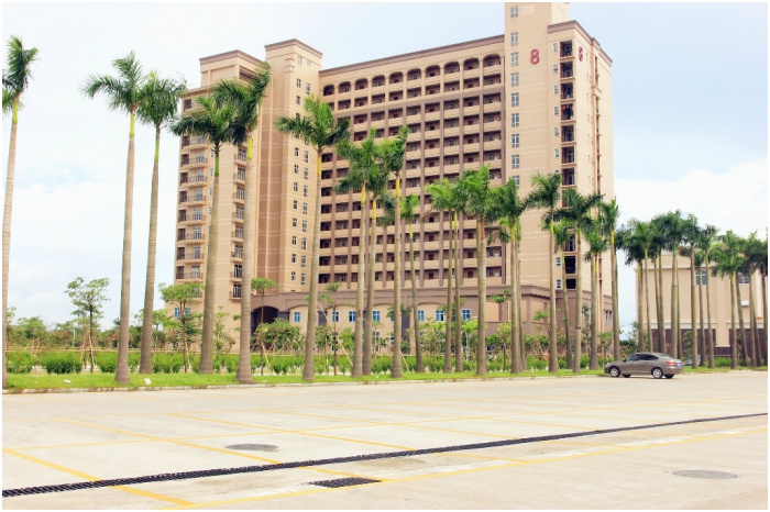 番禺中心医院 (1)